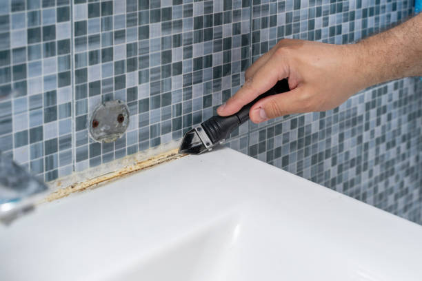 Best Mold Damage Repair  in North Charleston, SC
