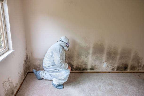 Water Damage Restoration in North Charleston, SC